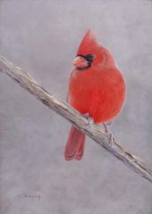 Kelly Radding, "Winterblaze", casein, 7x5, $700