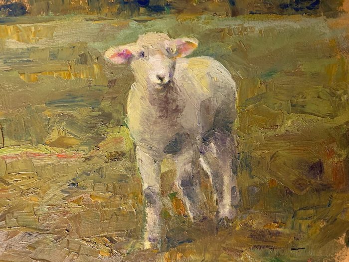 Shauna Shane, "Lamb", oil, 8x8, $350
