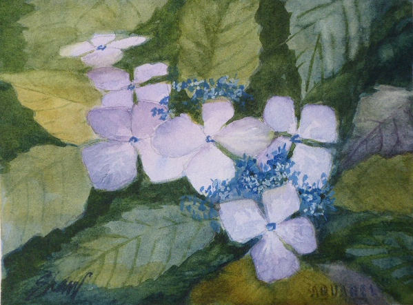 Susan Shaw, "Dancing with Hydrangeas", watercolor, 12x14, $300