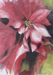 Beverly Tinklenberg, "Poinsettia", watercolor, 15x11, $325