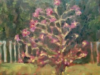 Jane Zisk, "Cosmos", oil, 8x10, $250