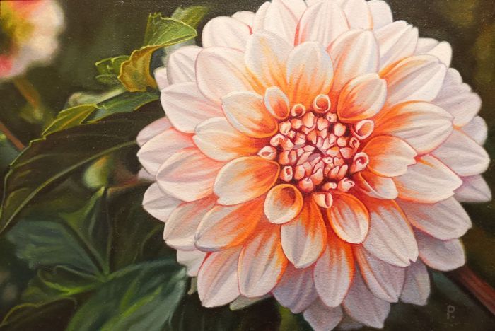 Paul Baldassini, "Peaches Dahlia", oil, 10 x 14.5, $450