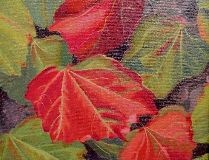 Diane Chandler, "Red and Green Ivy", oil, 8 x 10, $225
