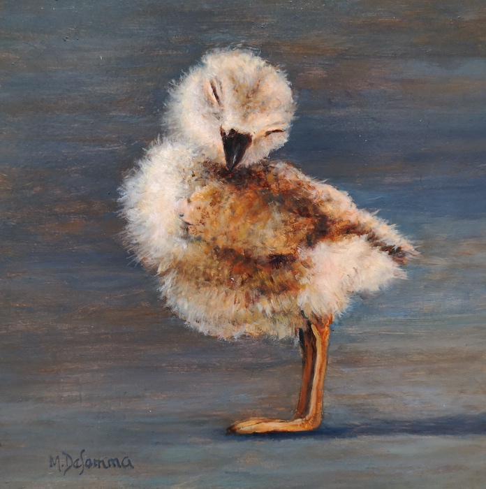 Mally DeSomma, "Forty Winks", oil, 5 x 5, $195 SOLD