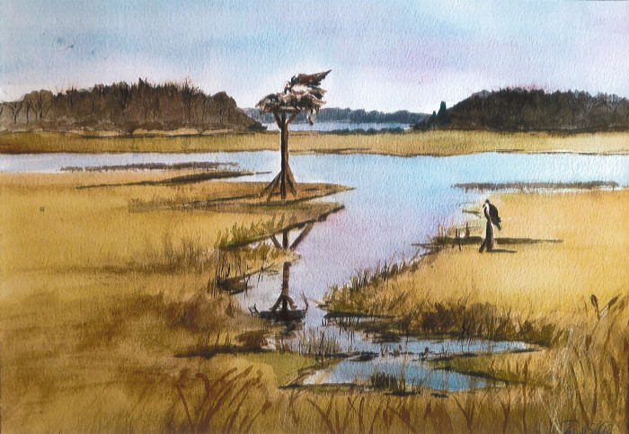 Terry J. Eddy, "Osprey nest in Marsh", watercolor, 18.5 x 22, $450