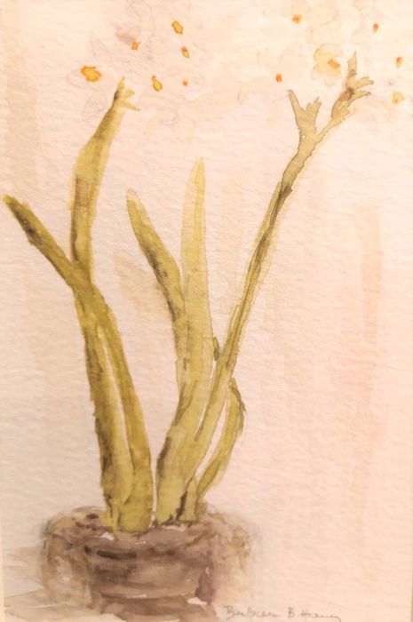 Barbara B. Harvey, "Winter Paperwhites", watercolor/pencil, 10.5 x 11.5, $250