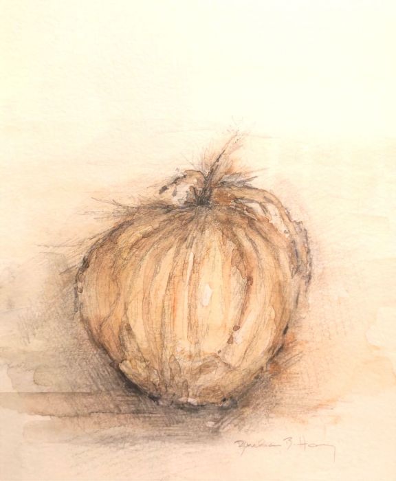Barbara B. Harvey, "Yellow Onion", watercolor/pencil, 11 x 14, $250