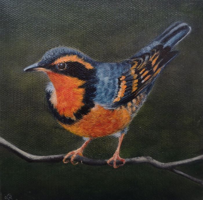Lisa Linehan, "Varied Thrush", oil, 6 x 6, $275