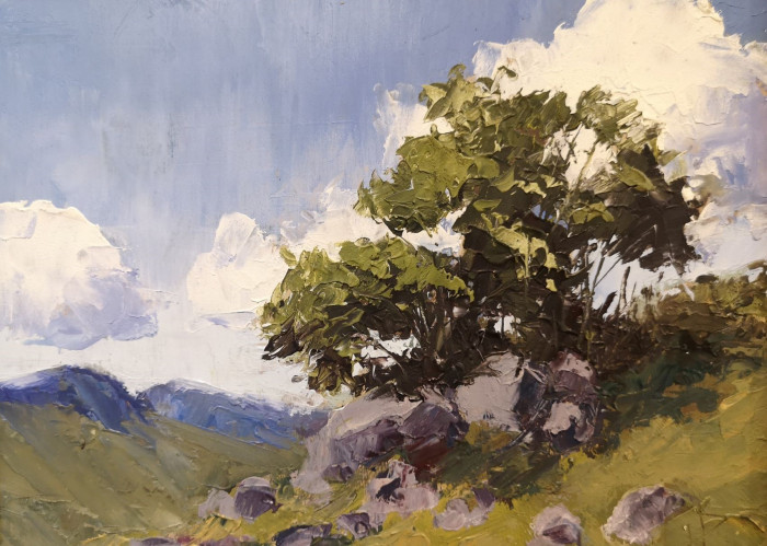 Howard Park, "Vermont Rockpile", oil, 6 x 8, $400