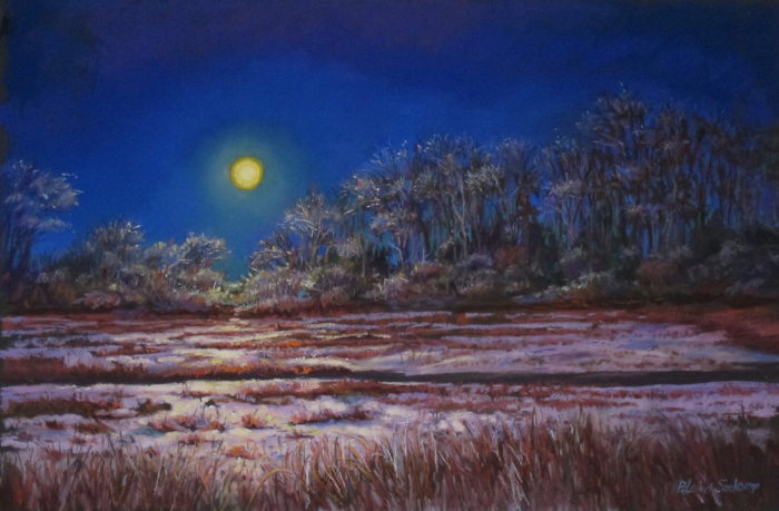 Patricia Seekamp, "Moonlit Marsh", pastel, 22x28, $685