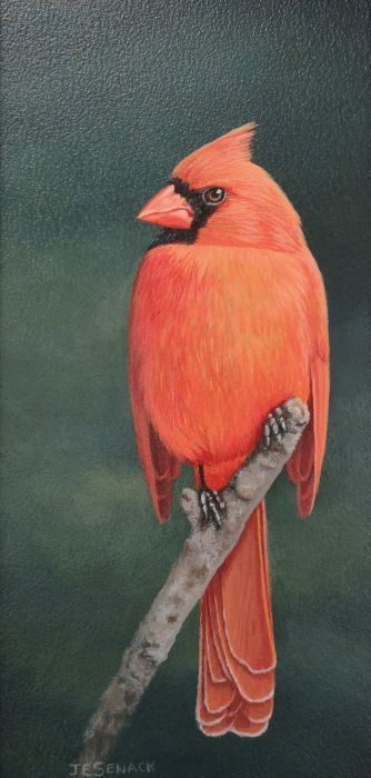 J. Elaine Senack, "Northern Cardinal", acrylic on alum, 12 x 6, $900