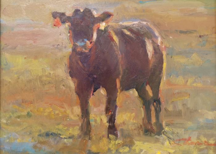 Shauna Shane, "Black Angus Steer", oil, 9 x 12, $550.  SOLD