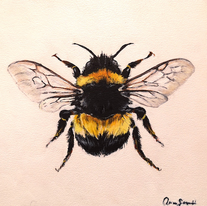 Amanda Surveski, "Bumblebee", acrylic, 6 x 6, $215 SOLD