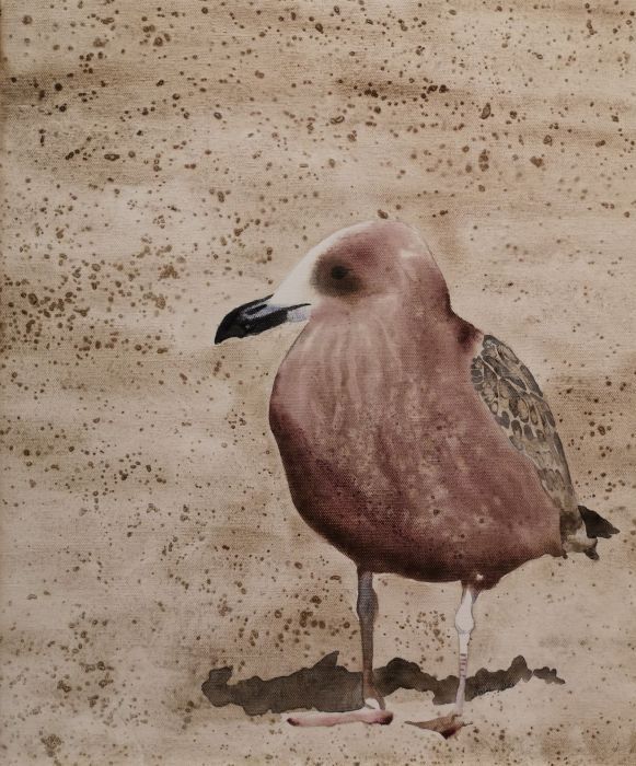 Susan Zilke, "Newport Gull", acrylic, 16 x 20, $200