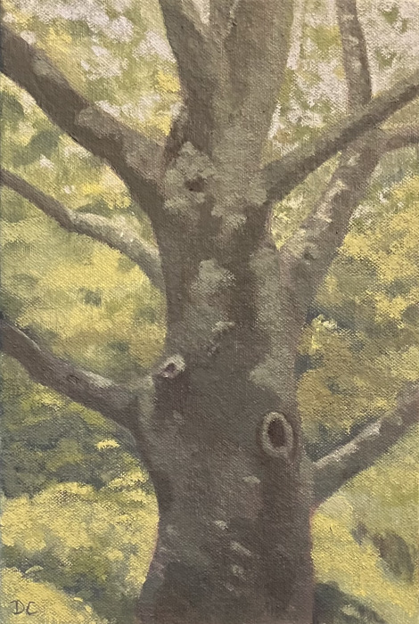 Chandler_Tree_at_Lockwood_oil_9x6_200