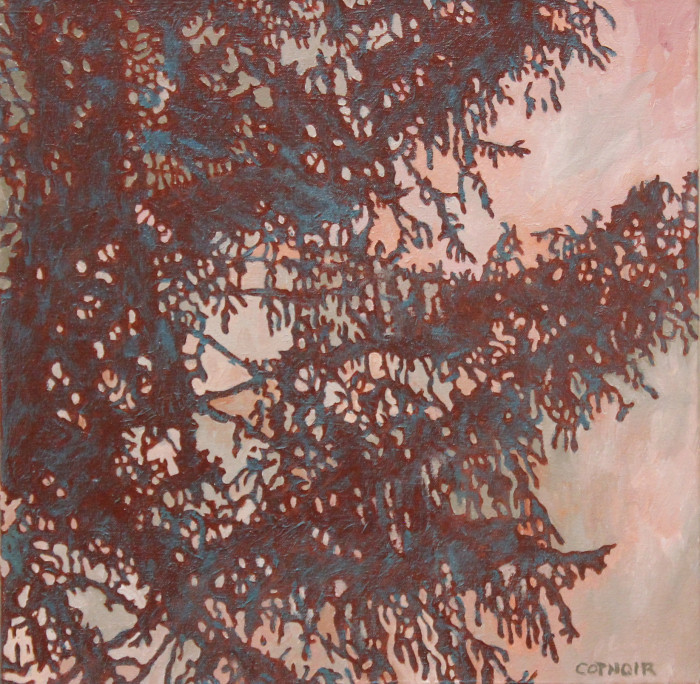 Cotnoir-Rosemary-Sunrise-through-Branches-oil-350-17x17