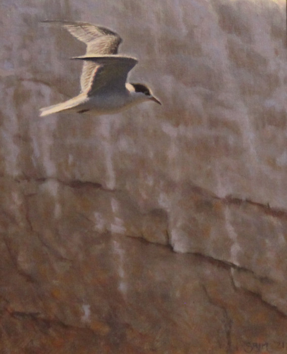 Murtha-Sean-Maiden-Flight-oil-550-10x18