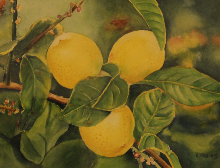 Preibis-Cora-Three-Lemons-wc-275-9x12