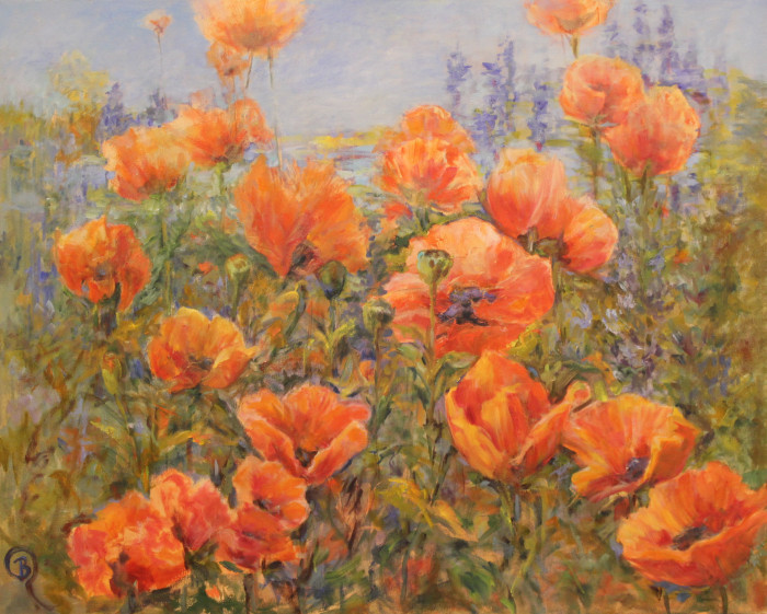 Rossito-Poppies-in-the-Field-oil-1200-24x30