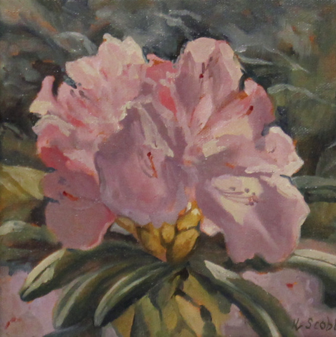 Scoble-Kimberly-Rhododendron-oil-285-6x6
