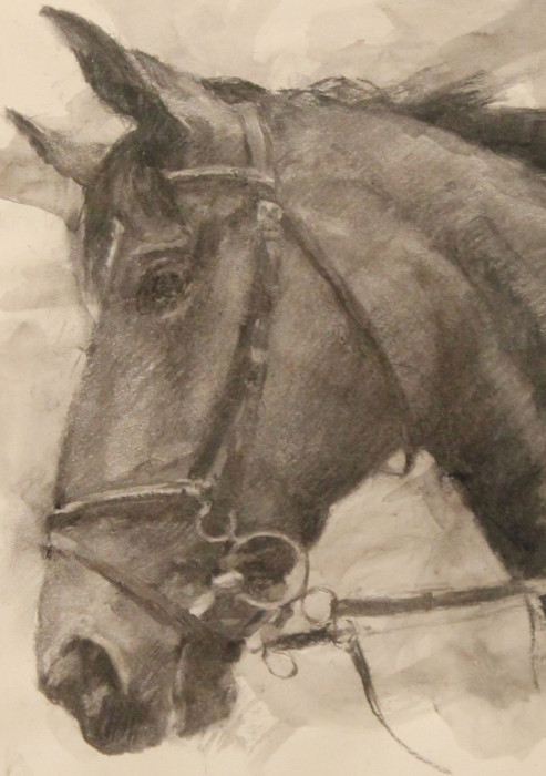 Shane-Shauna-Head-Study-charcoal-700-20x16