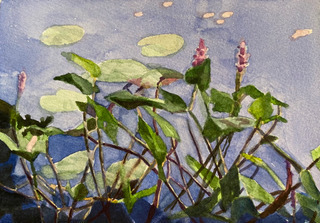 Shoemaker_Patricia_Waterliles-on-Lavender-Pond_wc_350