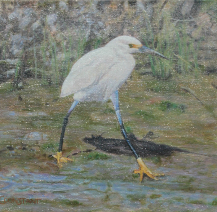 Carole Constant, "Baby Egret out for a Walk", Oil, $1,250