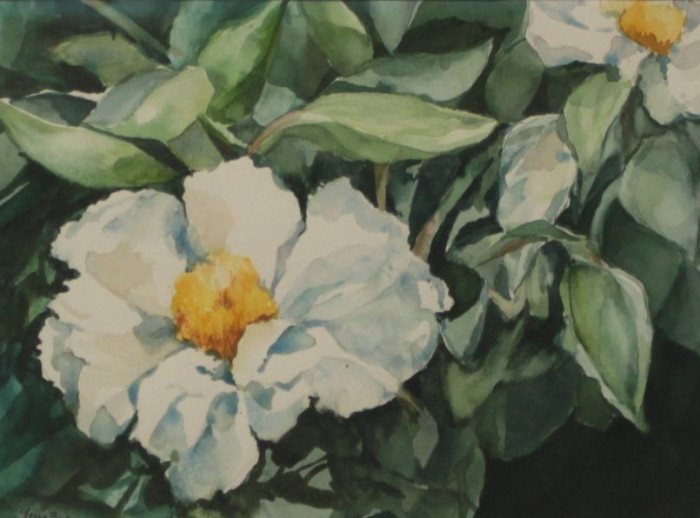Terry Bogan, "White Peony", Watercolor, $250