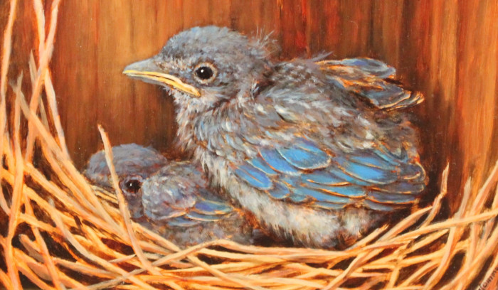 Mally DeSomma, "Snug as a Bug", Oil, $245