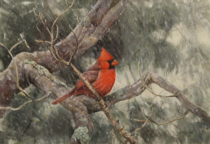 Michael DiGiorgio, "Winter Cardinal", Watercolor, $950