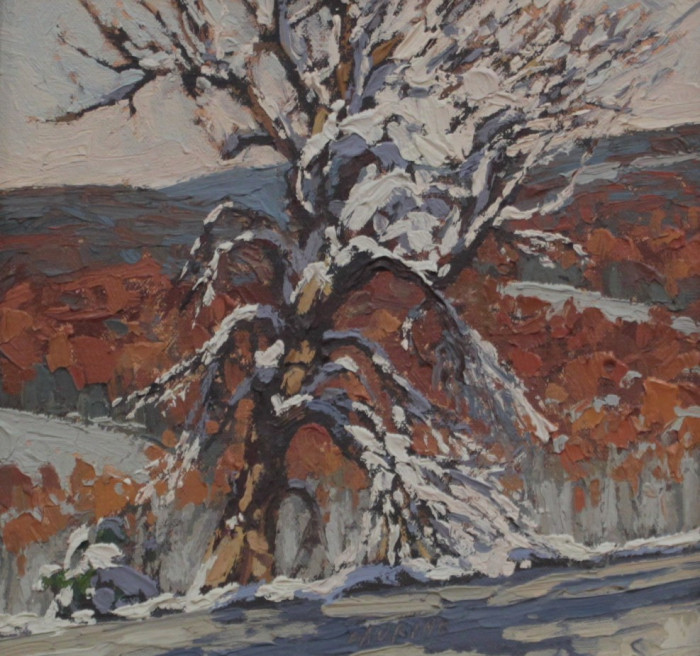 Jim Laurino, "First Snow- Old Maple Tree", Oil, $650
