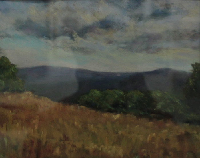 Garnet Wrigley, "From the Summit,Stores", Soft Pastel, $400