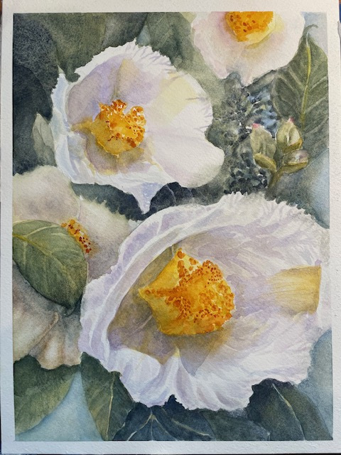 Barbara Eaglesham, "Stewartia Tree at The Kate", Watercolor, $375
