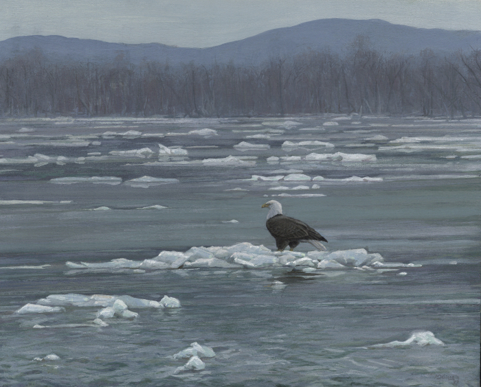 Michael DiGiorgio, "Connecticut River Eagle", Gouache, $1,200