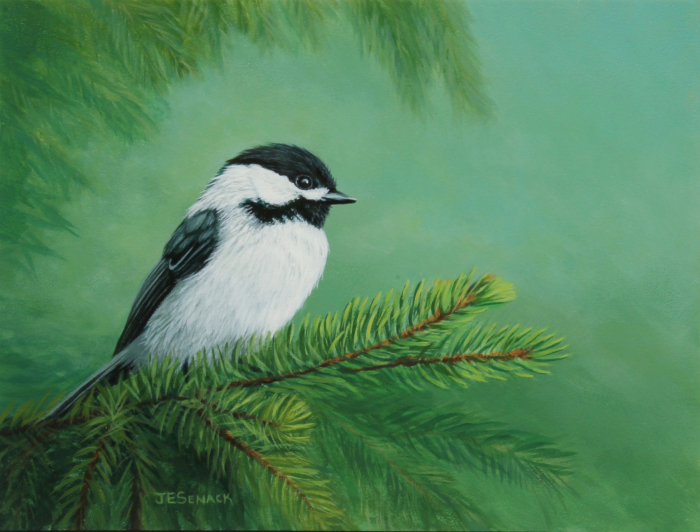 J. Elaine Senack, "Pine Perch", Acrylic On Aluminum, $1,290