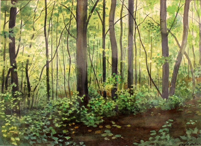 Asher_Gayle_Emerald_Forest