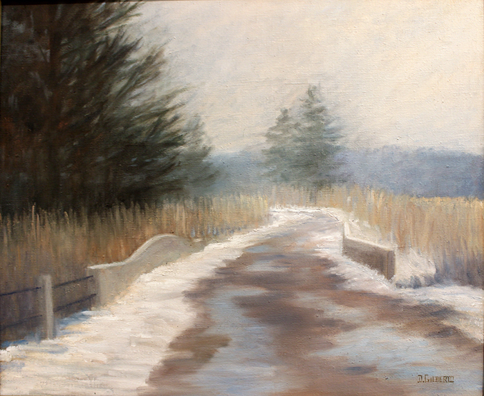 Gilberto Donna Road through the marsh
