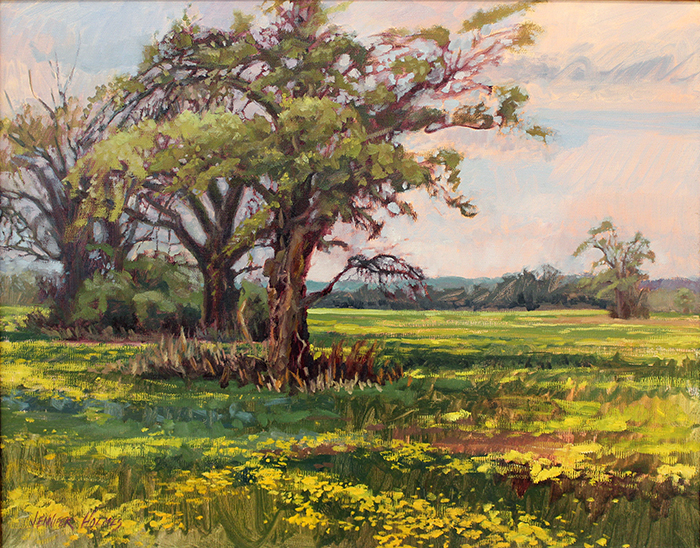 Holmes Jennifer field of spring