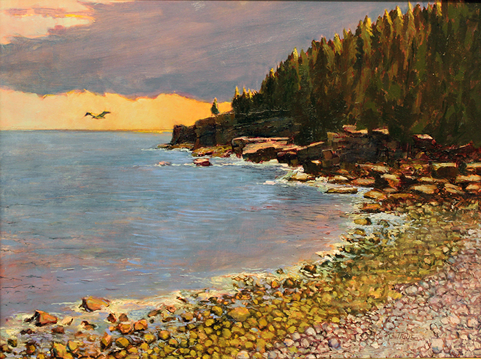 McTigue BC bird’s eye view