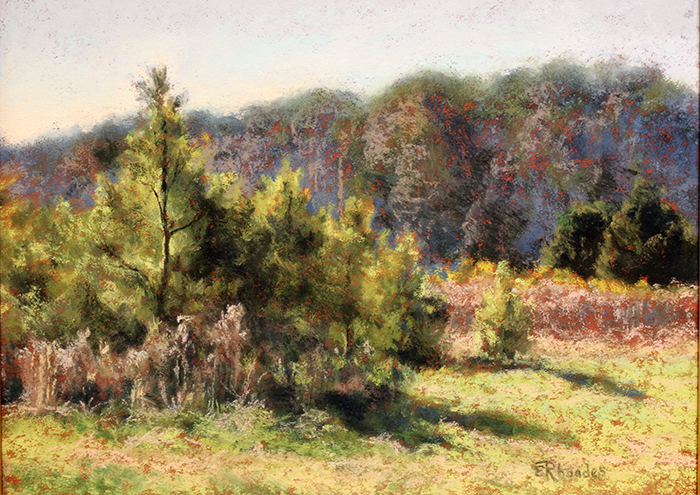 Rhoades Elizabeth Young Pines in Early Spring