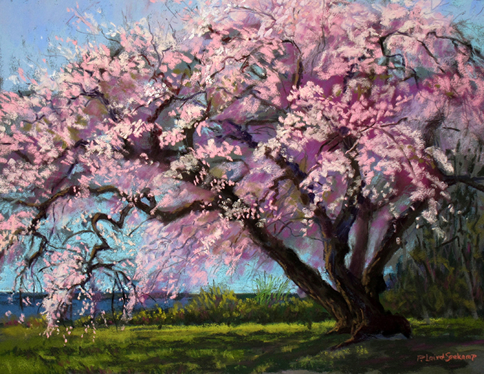 Seekamp Patricia Gift of the Emperor