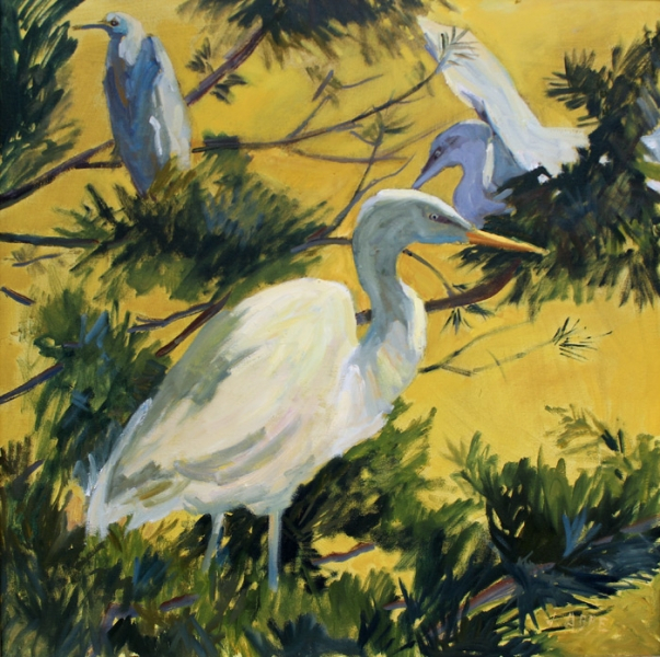 Abbe-RSVP-Egrets-Only
