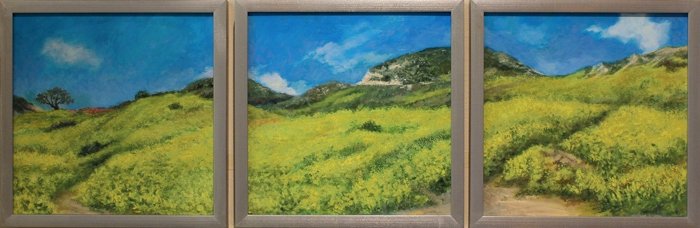 Chapman-California-Wild-Mustard-Fields