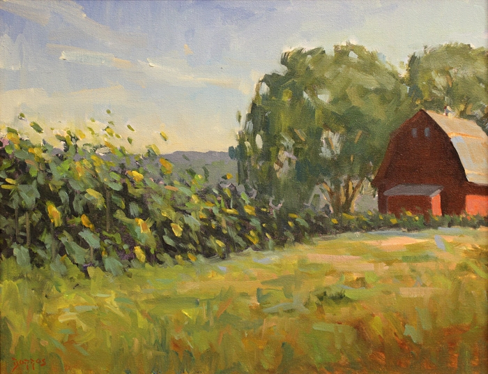 Dorros-Sunflowers