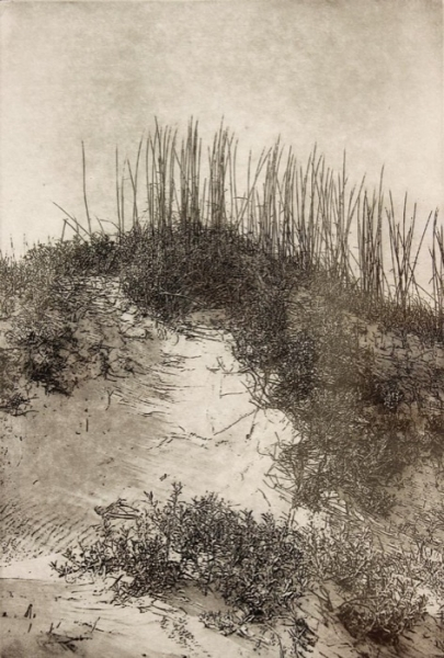 Dunn-Dune-OBX