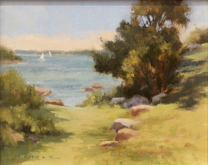 Maiser-Cove-View