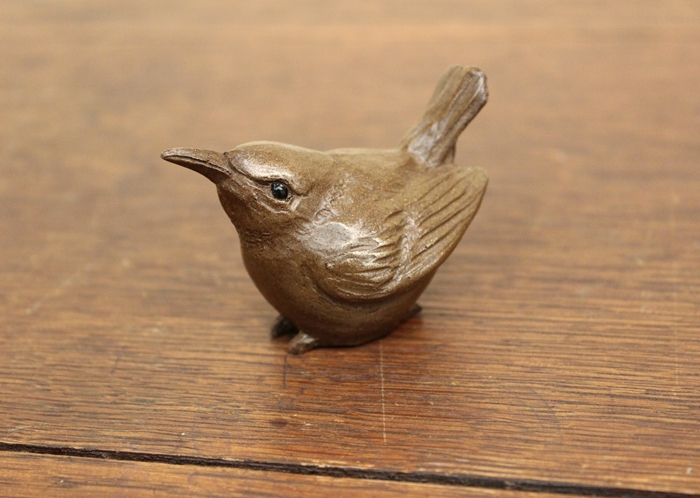 Van-Winkle-Baby-Wren