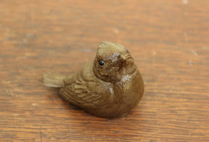 Van-Winkle-Titmouse-Fledgling