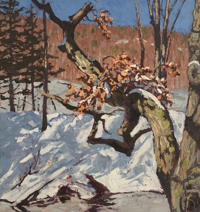 Jim Laurino, "Branch over Branch", Oil/Canvas, 14x15, $1,300