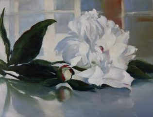 Janine Robertson, "White Peony", oil on aluminum, 8x10, $600